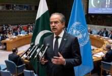 Pakistan's UN Ambassador Asim Iftikhar addressing the United Nations Security Council on Israel's E-1 settlement plan
