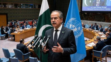 Pakistan's UN Ambassador Asim Iftikhar addressing the United Nations Security Council on Israel's E-1 settlement plan
